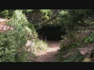 Family /  Otter Point, Oregon / Dennis Pelliccia / October 2