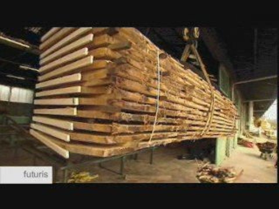 Des puces et de l’encre invisible pour sauver nos forets