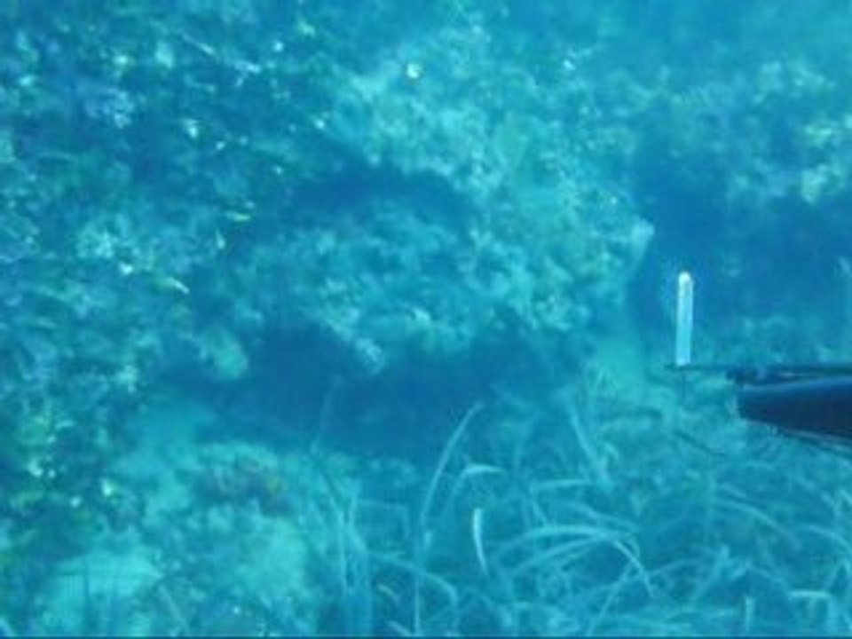 28.03.2009