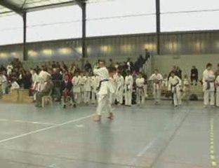 Kata pinan nidan