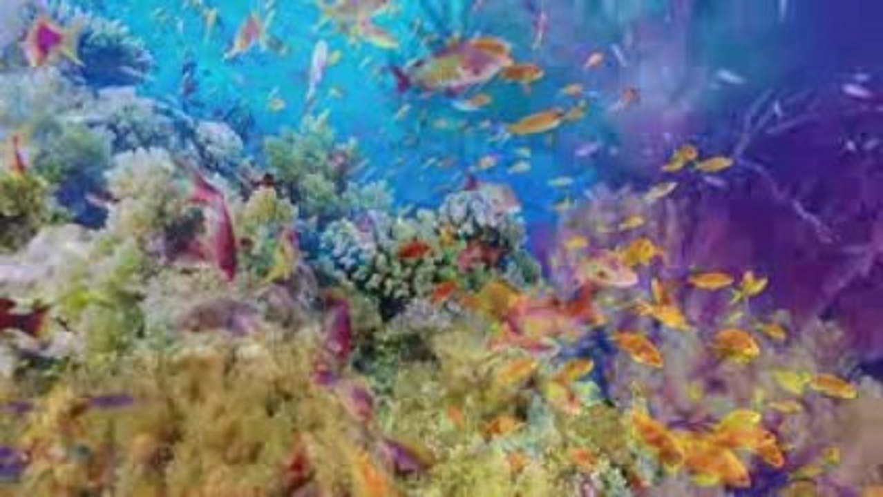 Donkey Kong Country - Aquatic Theme