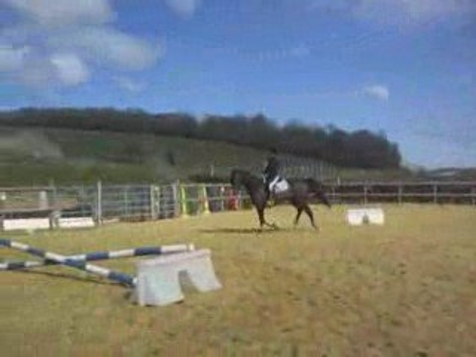 Galopgauche