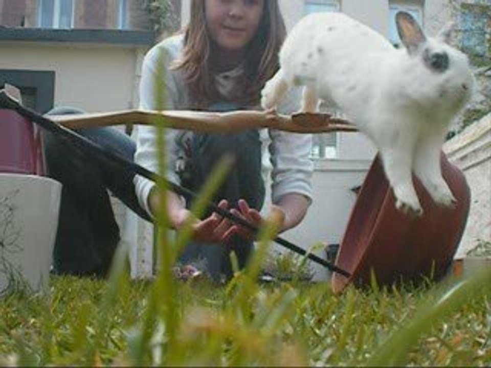 Zéphir saute dans le jardin =)
