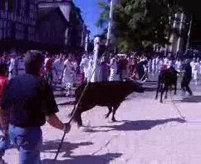 Retour de la vachette dans le box (Baiona 2008)