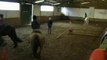 28-03-09 Leçon d'équitation-sauts au manège El Cortijo