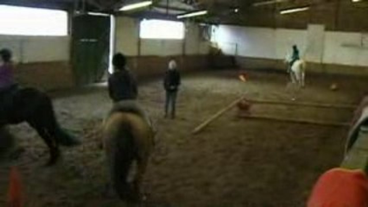 28-03-09 Leçon d'équitation-sauts au manège El Cortijo