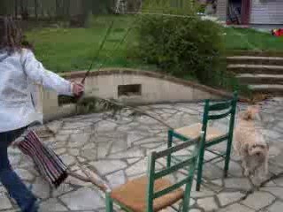 futur champion