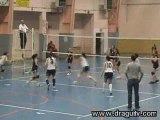 Volley-Ball.Draguignan/ASML Fréjus.