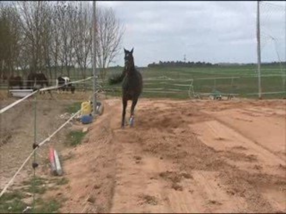 Trop cool la liberté