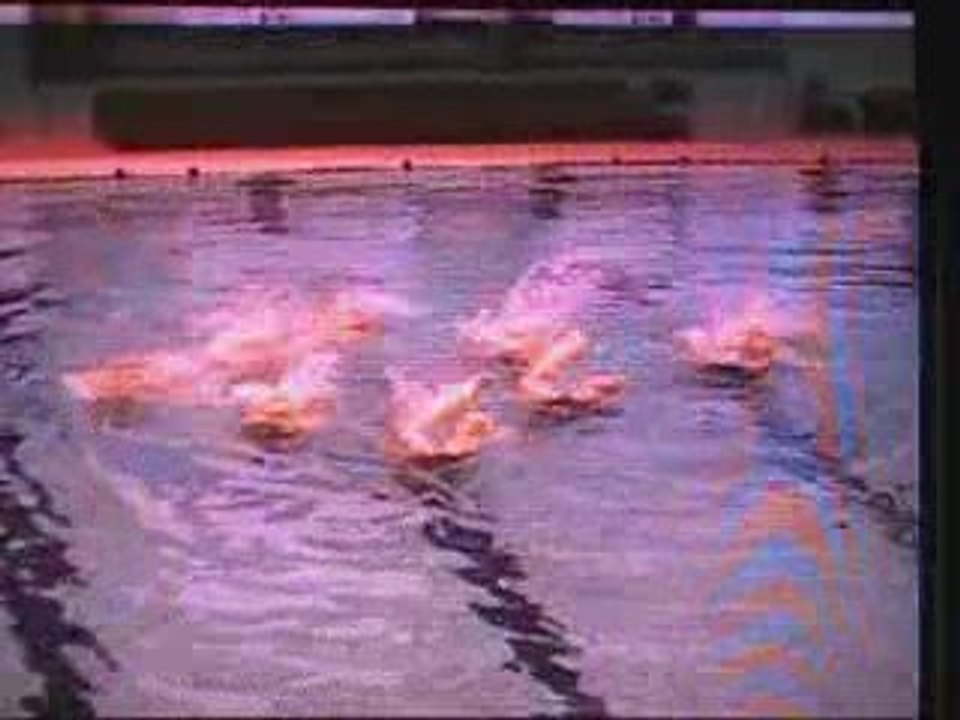 Championnat de france 2003 Ballet n°7