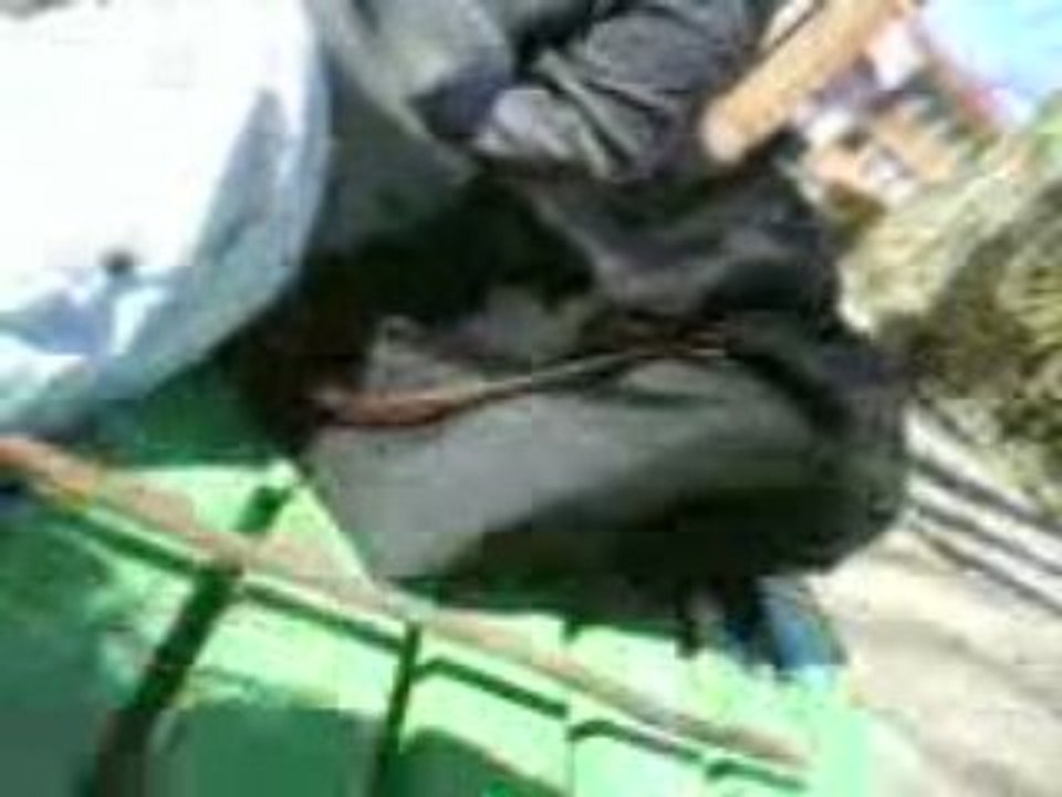 Que des Botch !