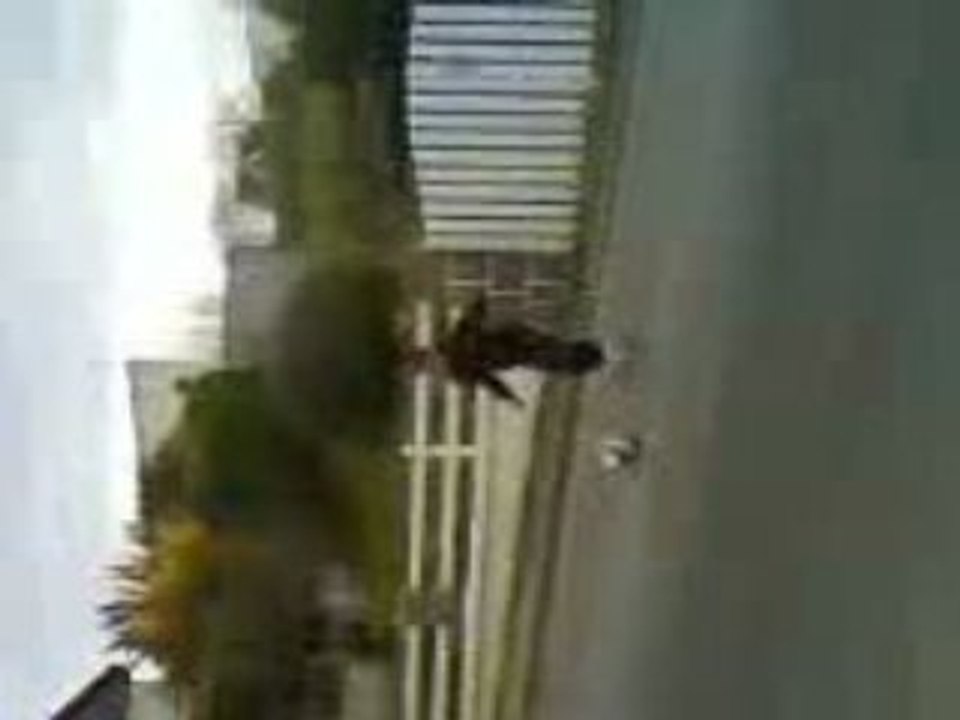 Hugo futur Remi Gaillard