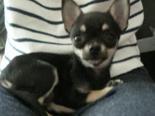 Anaïs et Zoé le 29 mars 2009 DSCN0366