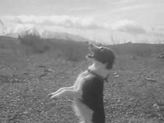 Obérythmée - L'amour nous guidera