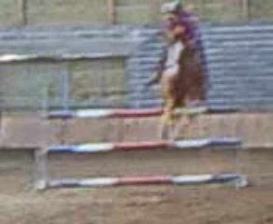 Vidéo0017