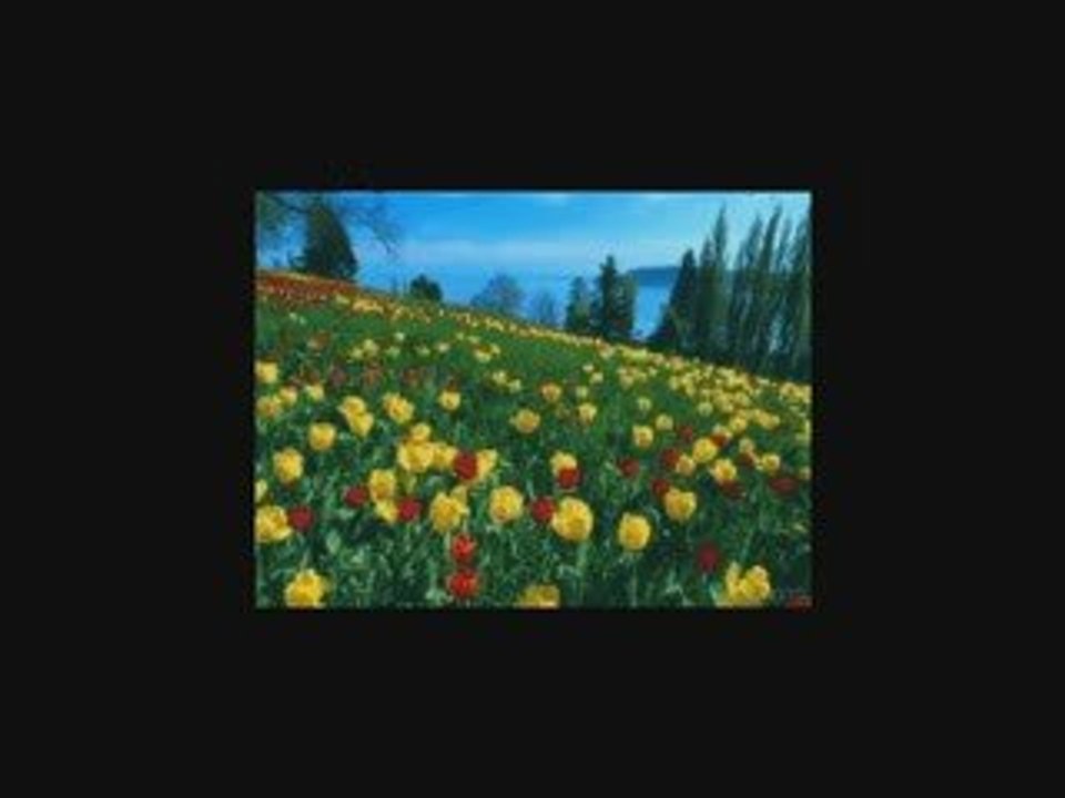 LUMINITA SOARE: " Can’t Help Falling In Love"  ELVIS PRESLEY