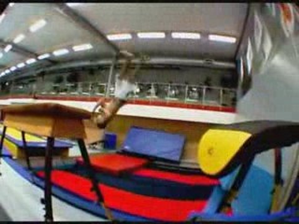 Air Wipp Goes WILD! 2009 GYM SAMPLER!