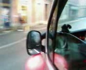 cortege azeri mulhouse 2009