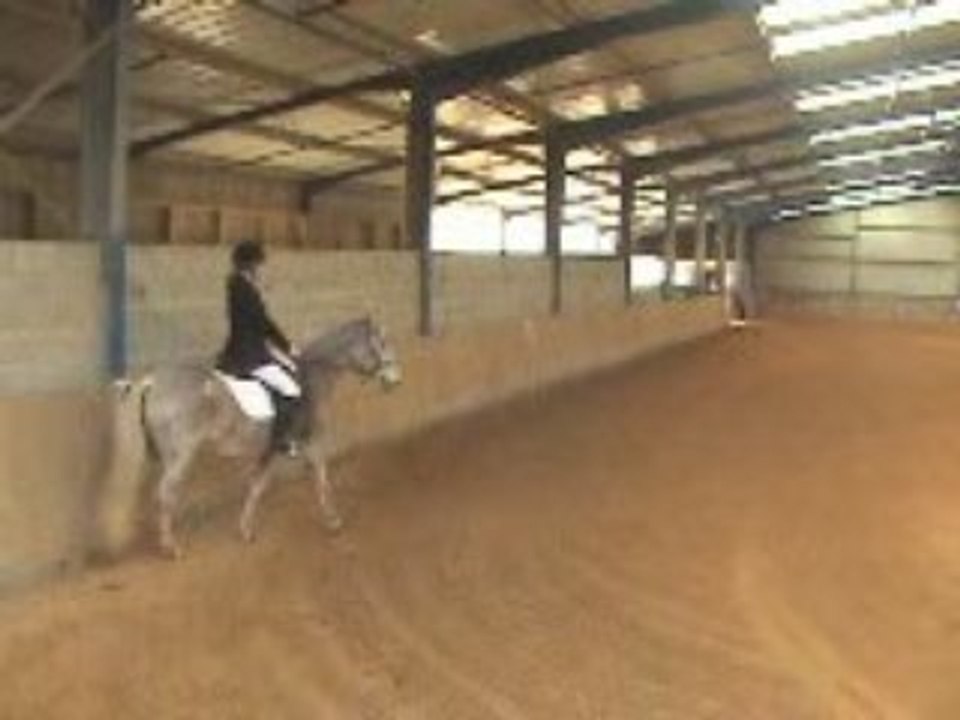 dressage au Treuil du 29 Mars 2009