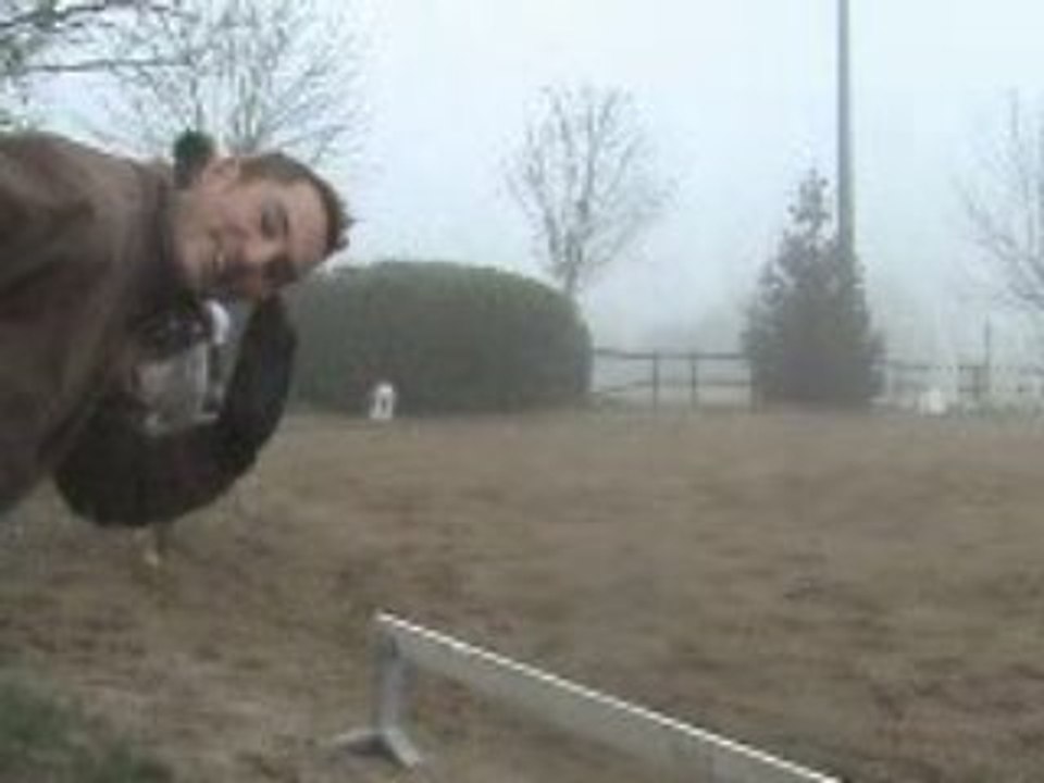 dressage à St Auvent le 22 Février 2009