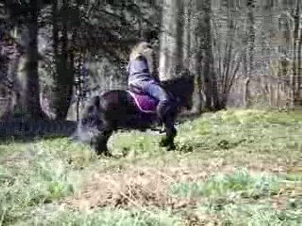slalom