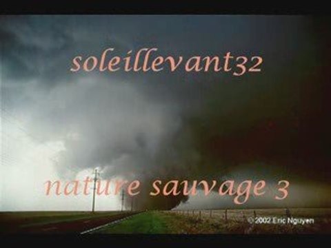 harold budd - their memories