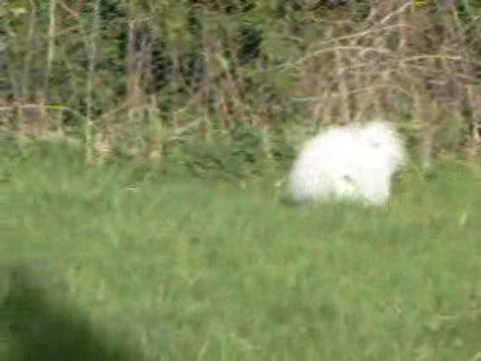 Creuse 28-03 004