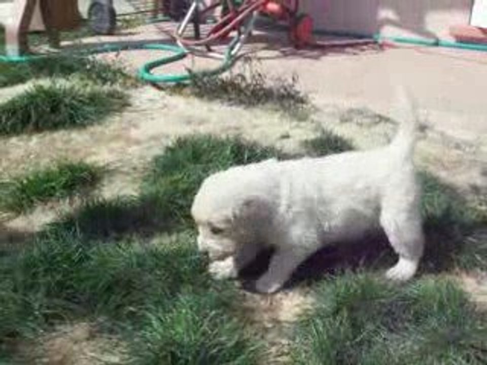 Video 290309 006