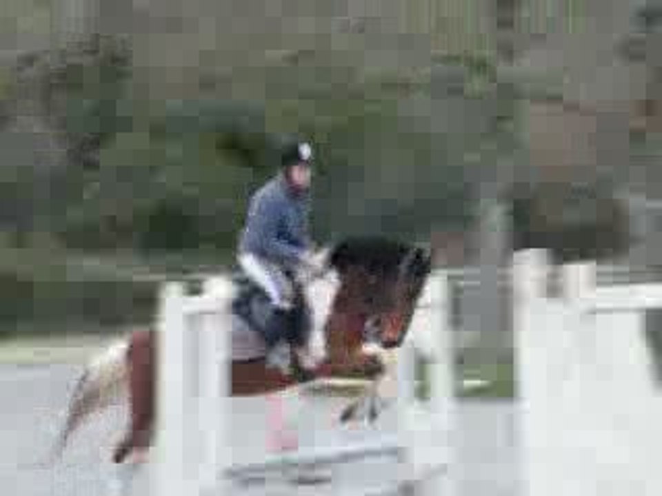 Moi et Kaputchi    Challenge III