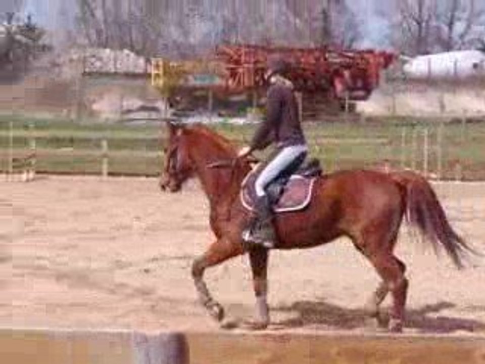 Morgane et Espoir