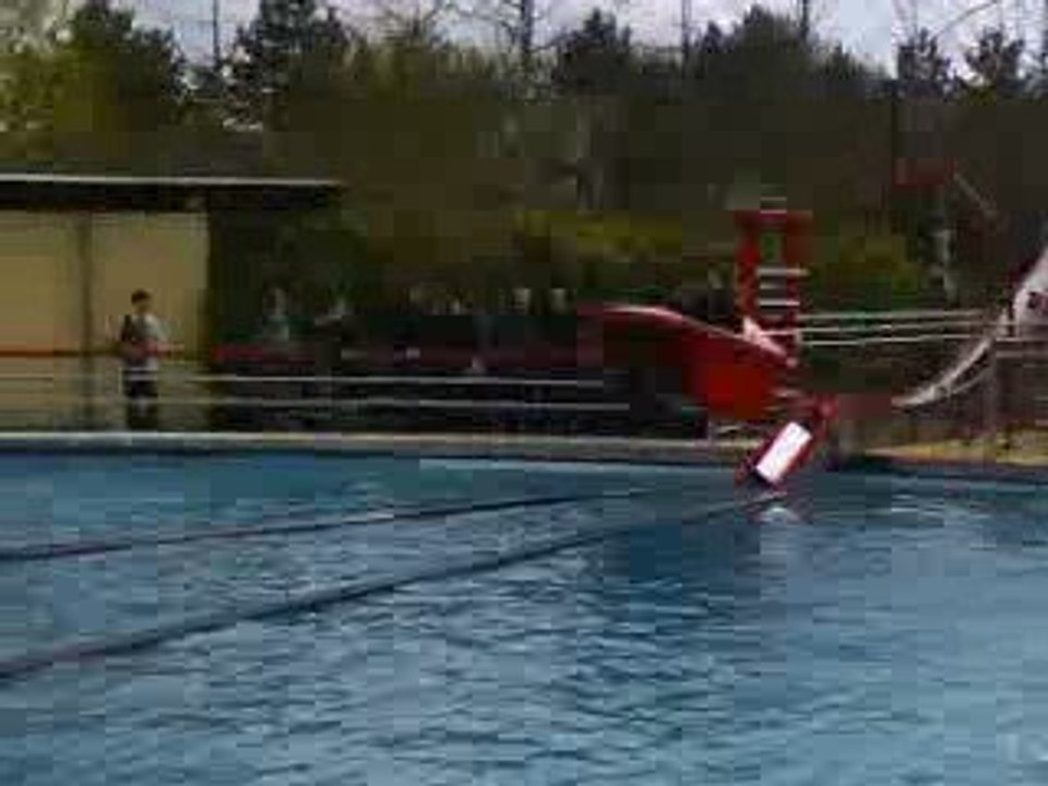 Le Splash des Loustics