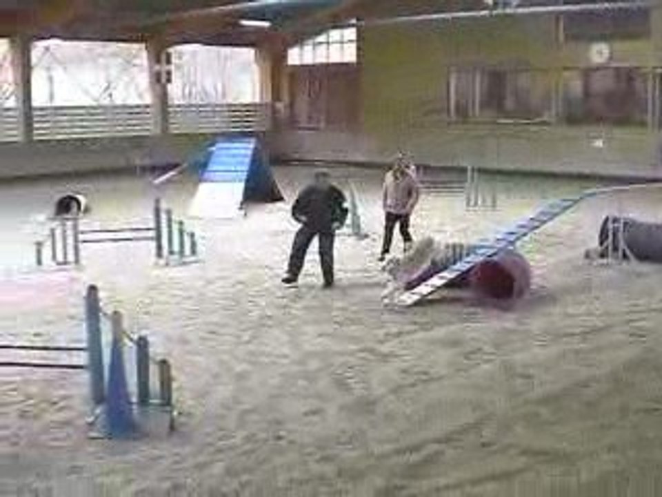 Salsa GPF Agility Annecy 29/03/2009