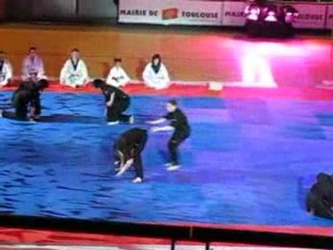 taekwondo démo du tct31 à la nuit du shaolin 2009
