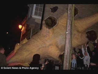 The Daily Digest #45