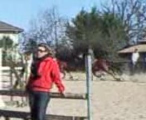 tour d'honneur a st cyr (club 1)