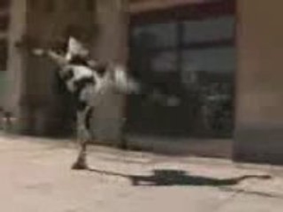 la vache folle