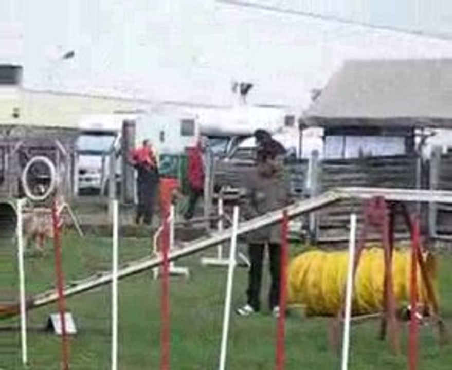 agility pau maybe 2.degre ele.mais egalee