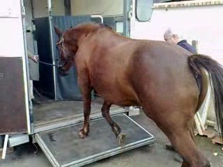 Quatch monte l'avant dans le van