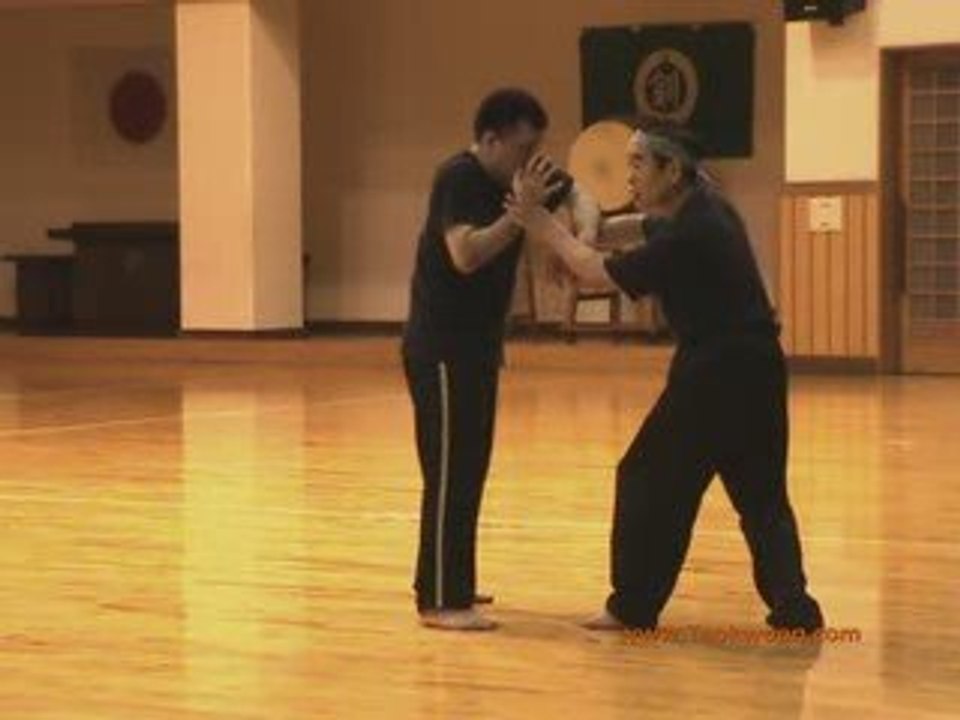 TAIKIKEN "Clinch" by Iwama Sensei