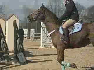 moi et labelix sur la 60cm