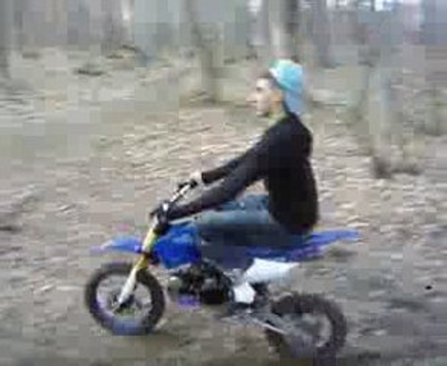 bougival zoo les boi