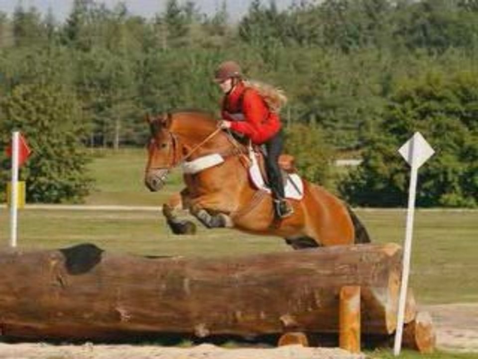Championnat d'Europe de TREC 2008 Lamotte-Beuvron