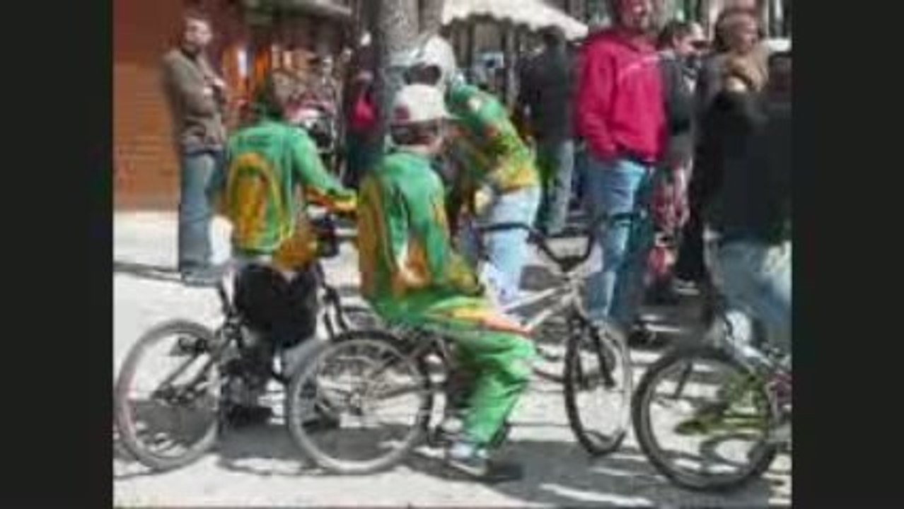 GUJAN 2009