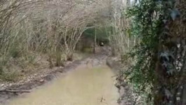 bourbier 525 tgb quad 2009