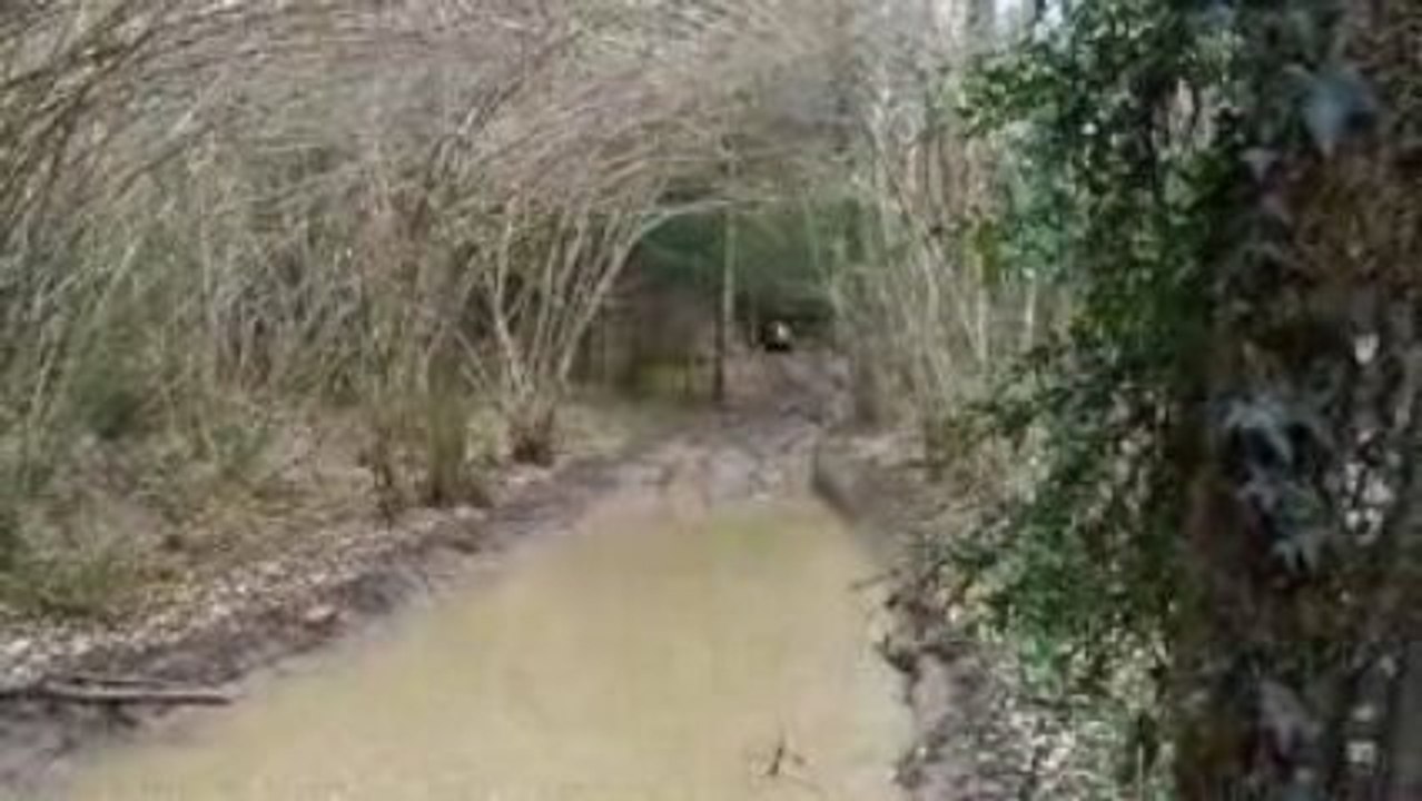 bourbier 525 tgb quad 2009