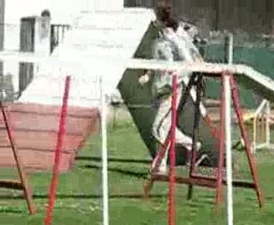 AGILITY PAU maybe gpf 4.exc 09 dupont(1)