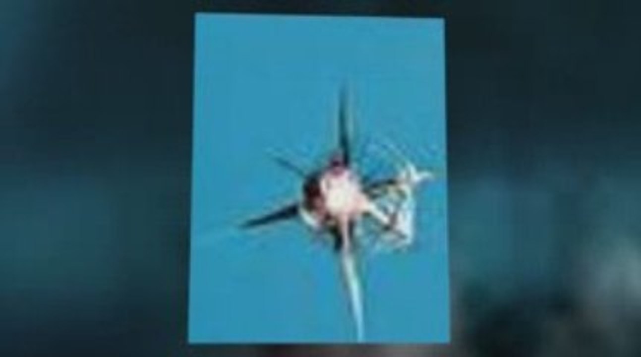 Enter a descriptive keyword-loaded title here!