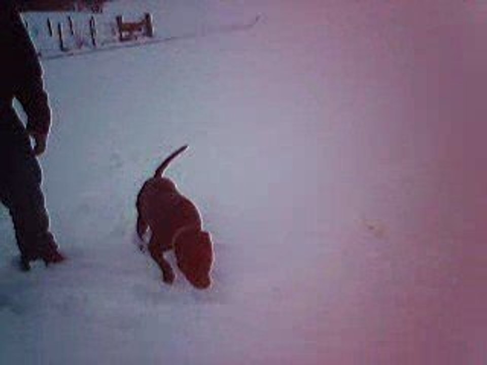 dans le doubs le 8/03/09