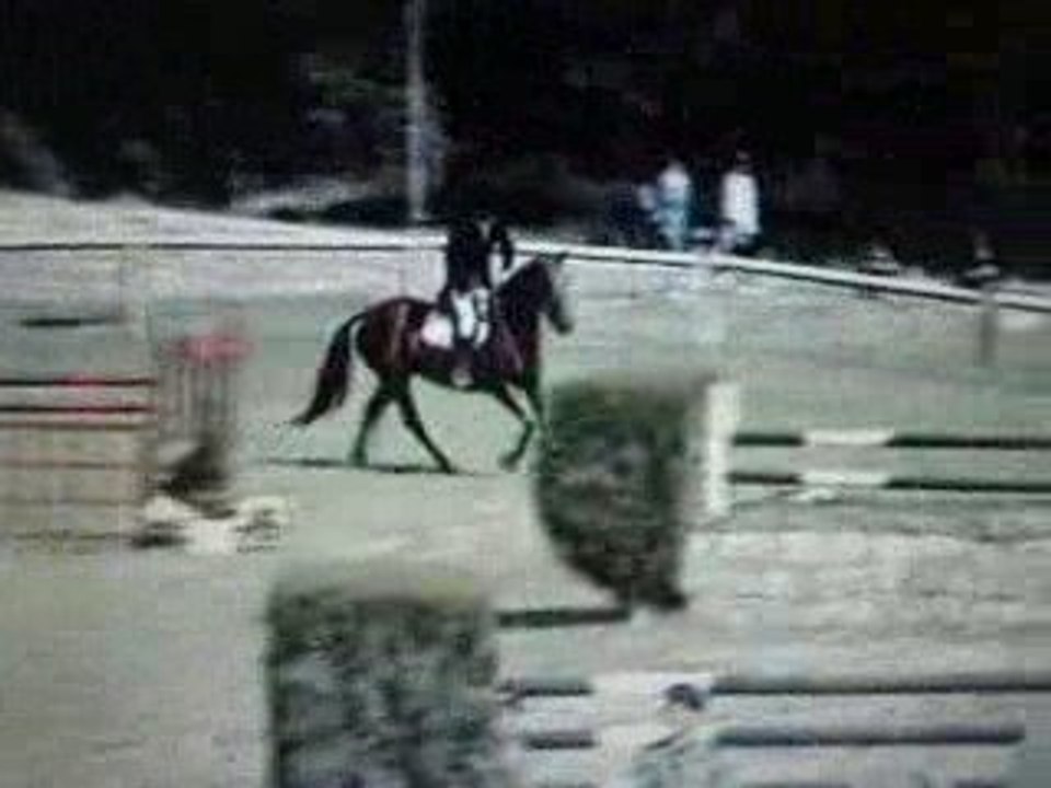 MOV03995