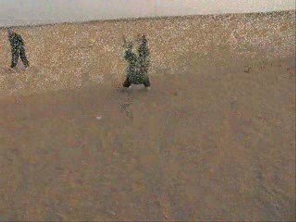 cerf-volant in kuwait